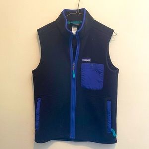 Patagonia vintage retro X synchilla vest